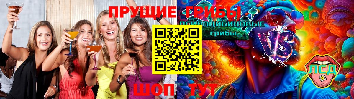 Псилоцибиновые грибы MAGIC MUSHROOMS  Вход с VPN  Галлюциногенные грибы Psilocybe  Междуреченск 